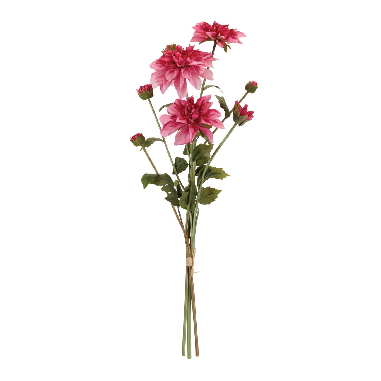 Dahlia Flower Bundle (Set of 2) alternate view 2