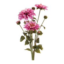 Dahlia Flower Bundle (Set of 2)