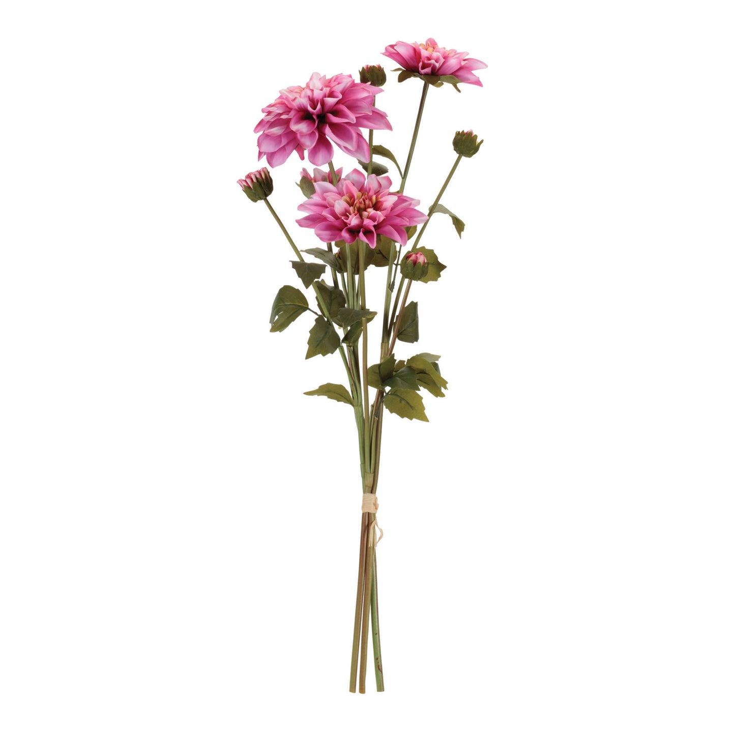 Dahlia Flower Bundle (Set of 2) alternate view 2