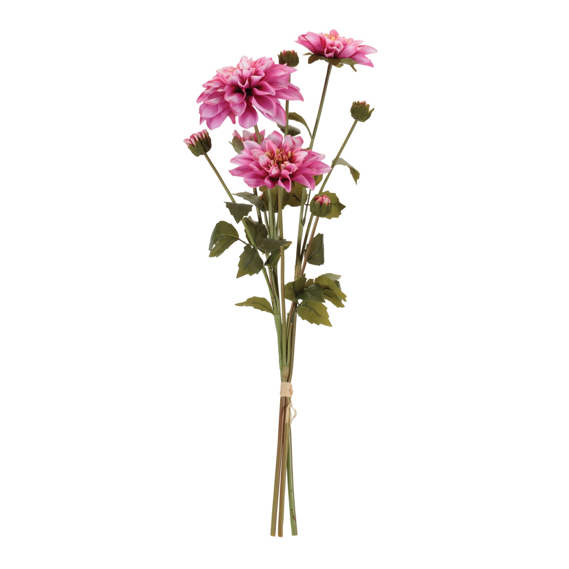 Dahlia Flower Bundle (Set of 2) alternate view 2