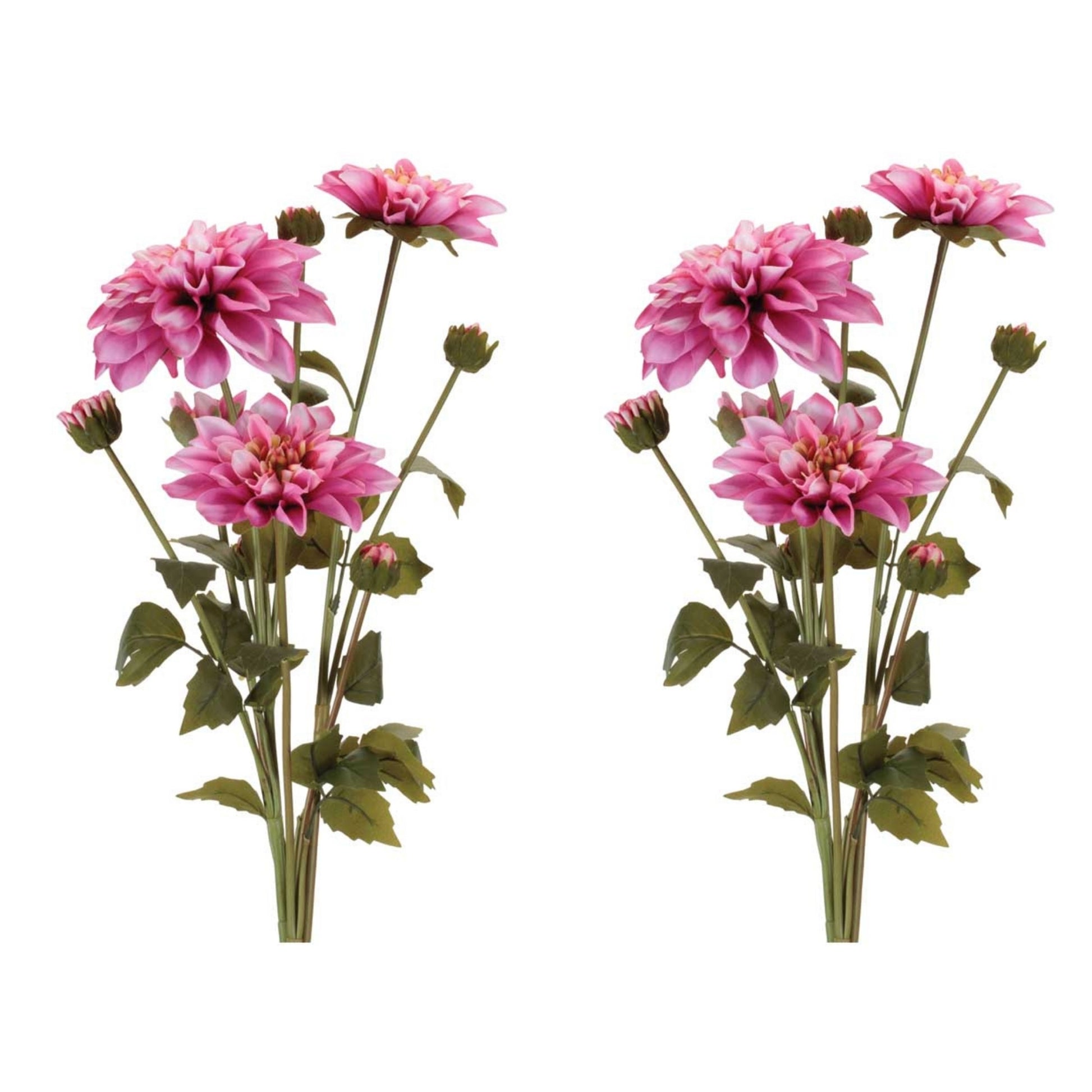 Dahlia Flower Bundle (Set of 2) alternate view 3