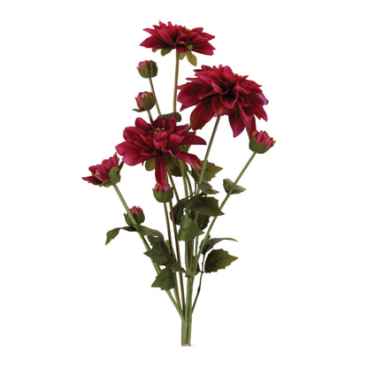 Dahlia Flower Bundle (Set of 2)