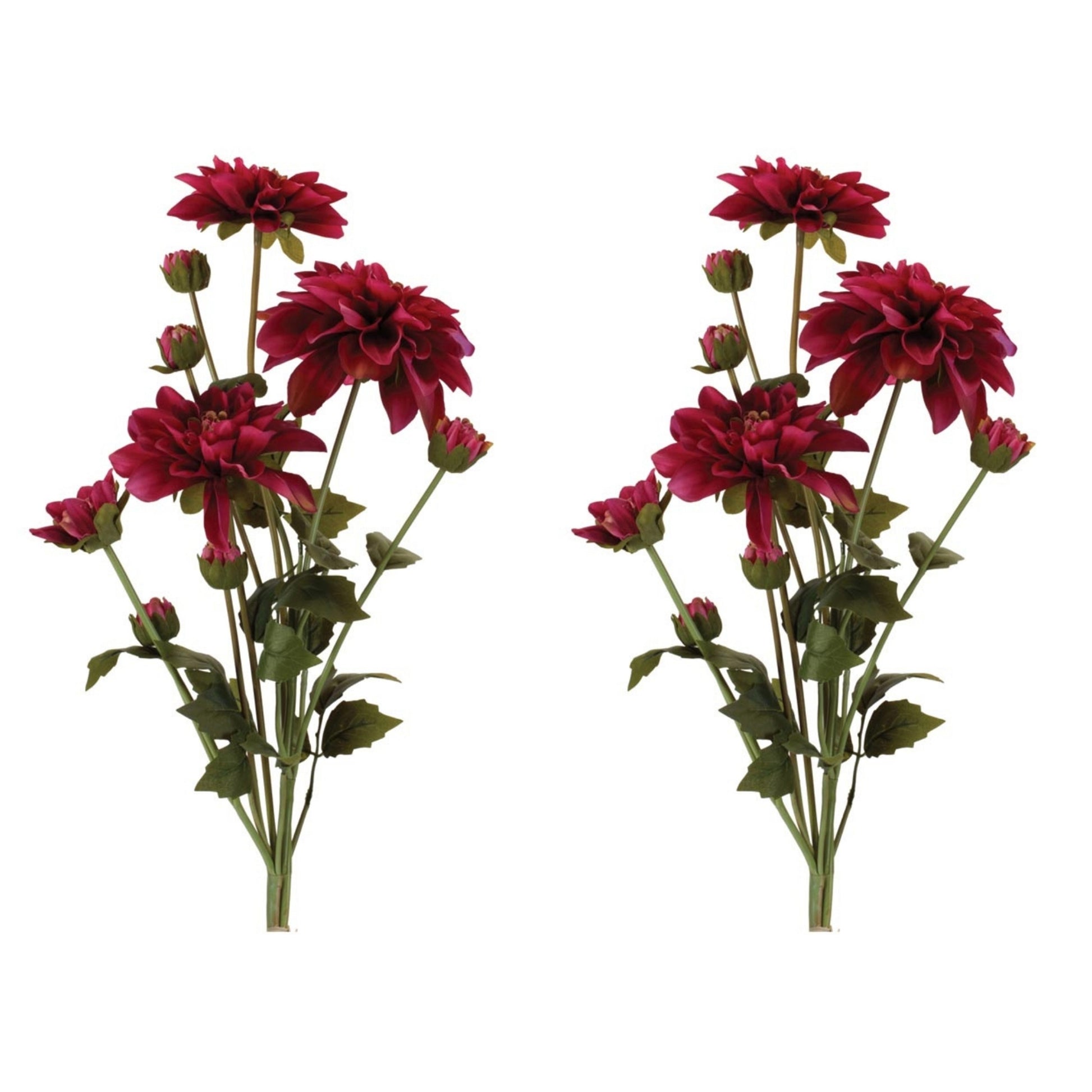 Dahlia Flower Bundle (Set of 2) alternate view 4
