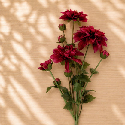 Dahlia Flower Bundle (Set of 2) alternate view 2