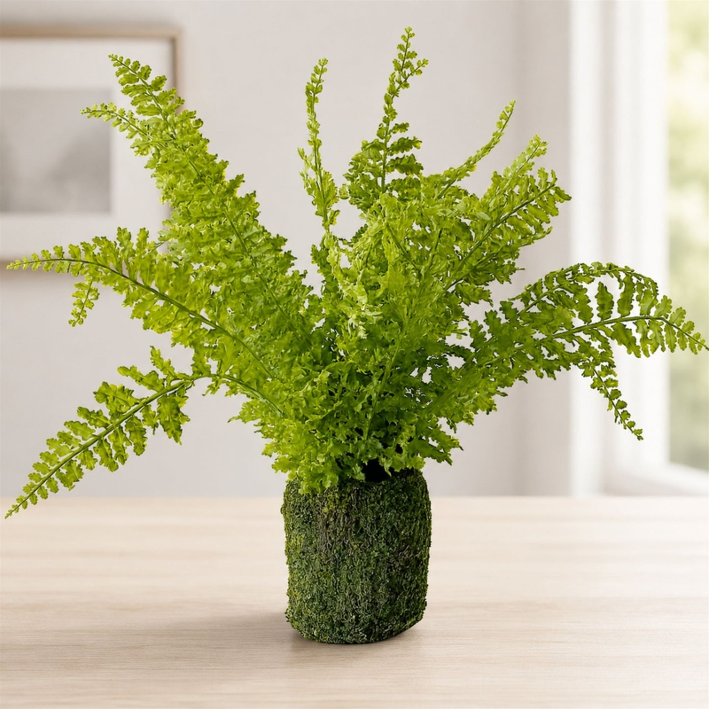 Fern Plant with Mossy Base 21"H alternate view 2