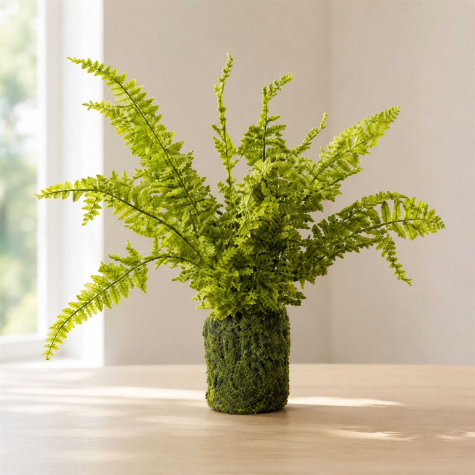 Fern Plant with Mossy Base 21"H alternate view 3