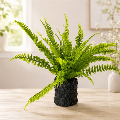 Fern Plant with Mossy Base 24"H alternate view 3