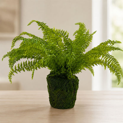 Fern Plant with Mossy Base 27"H alternate view 2