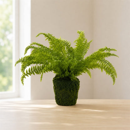 Fern Plant with Mossy Base 27"H alternate view 3