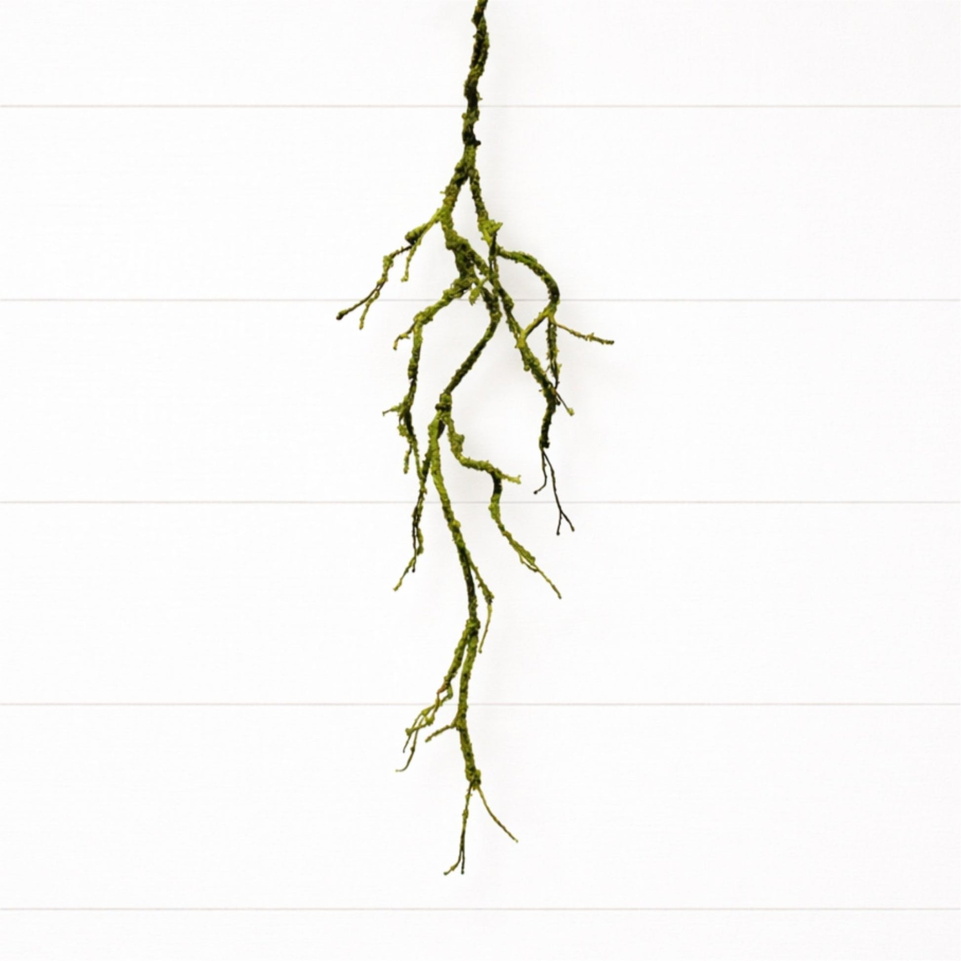 Mossy Twig Garland (Set of 2) alternate view 2