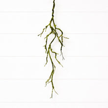 Mossy Twig Garland (Set of 2) alternate view 2