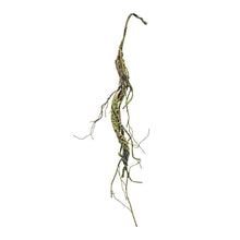 Mossy Twig Garland (Set of 2)