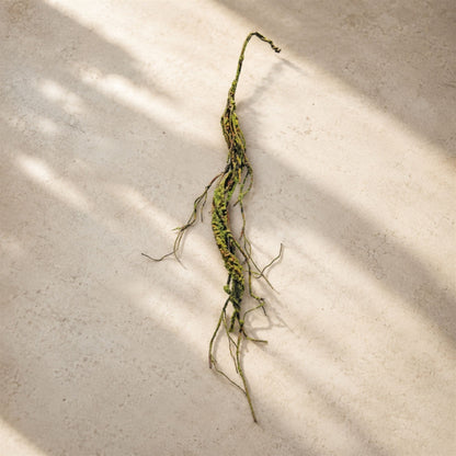 Mossy Twig Garland (Set of 2) alternate view 2