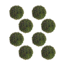 Boxwood Sedum Orb (Set of 8)