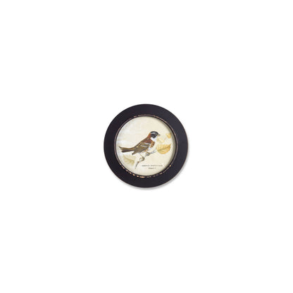 Wood Framed Encyclopedia Bird Print (Set of 3) alternate view 3
