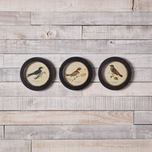 Wood Framed Encyclopedia Bird Print (Set of 3) alternate view 2