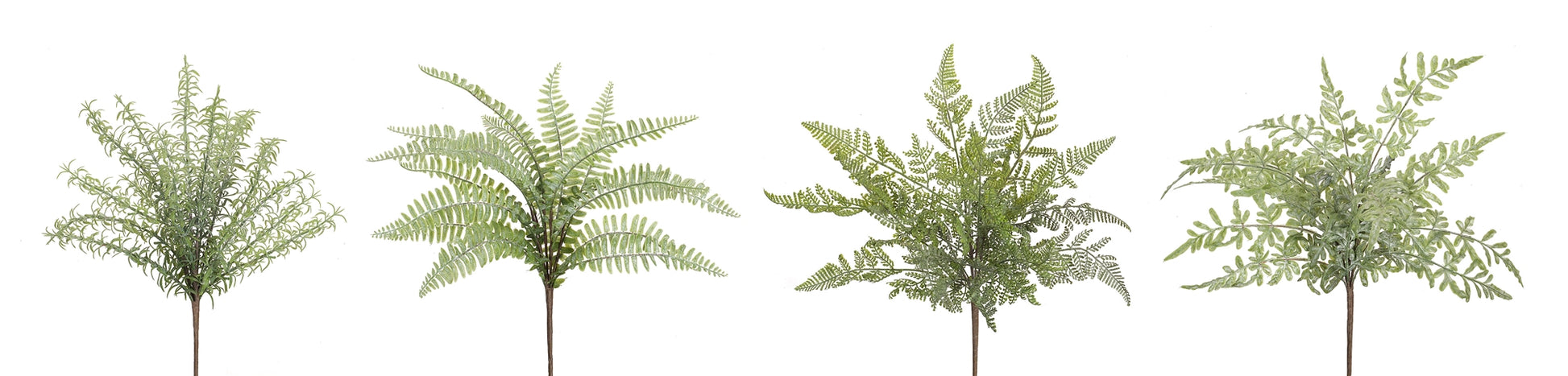 Assorted Fern Foliage Bush (Set of 12) alternate view 3