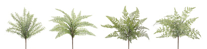Assorted Fern Foliage Bush (Set of 12) alternate view 3