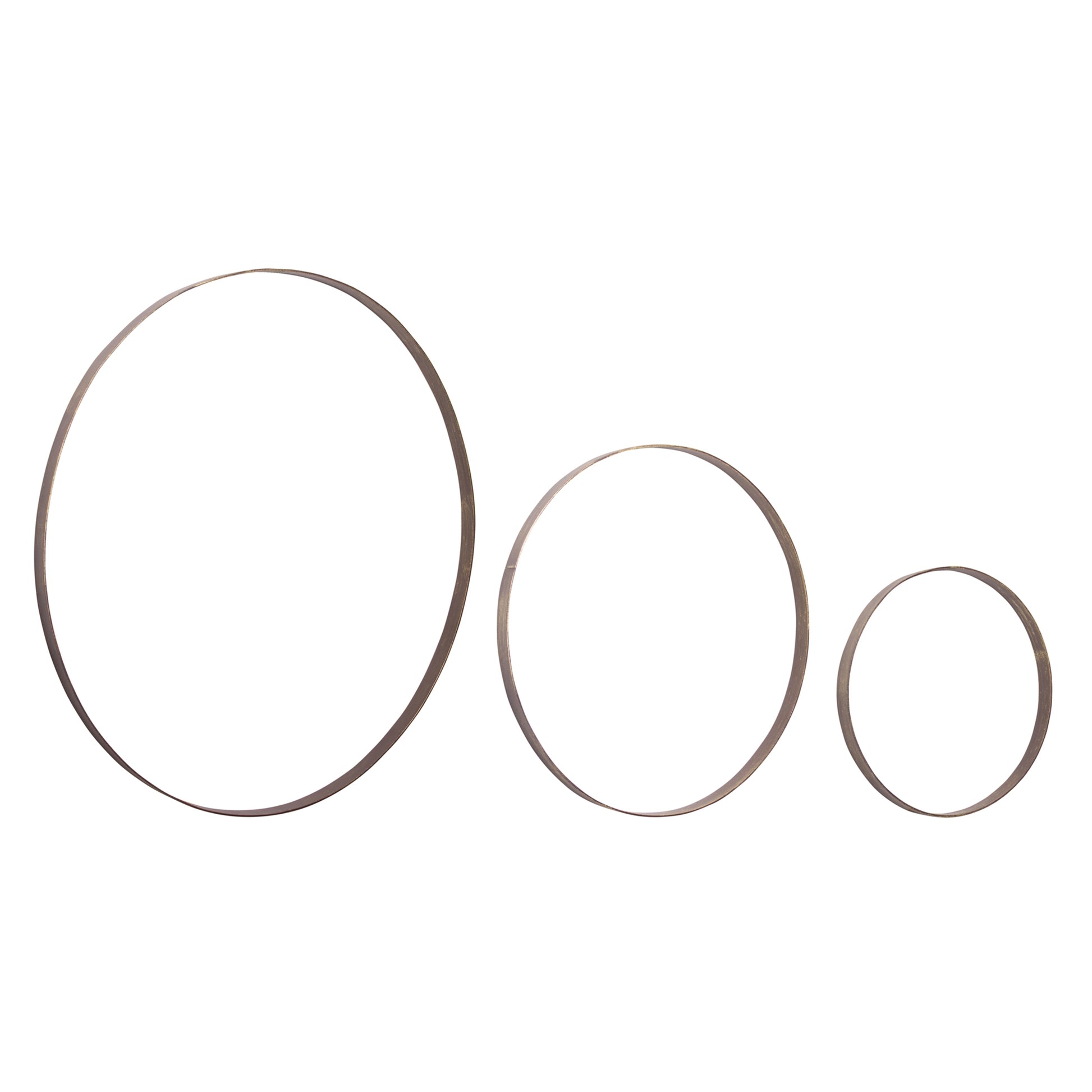 Iron Metal Rings Wall Display (Set of 3)