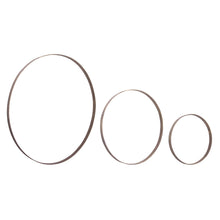 Iron Metal Rings Wall Display (Set of 3)