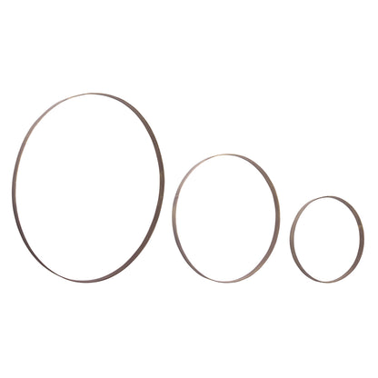 Iron Metal Rings Wall Display (Set of 3)