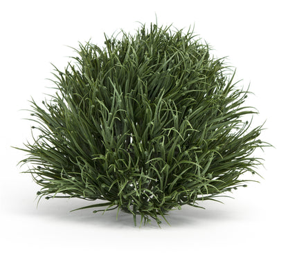 Spring Grass Half Orb (Set of 6) alternate view 2
