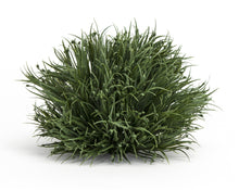 Spring Grass Half Orb (Set of 12) alternate view 2
