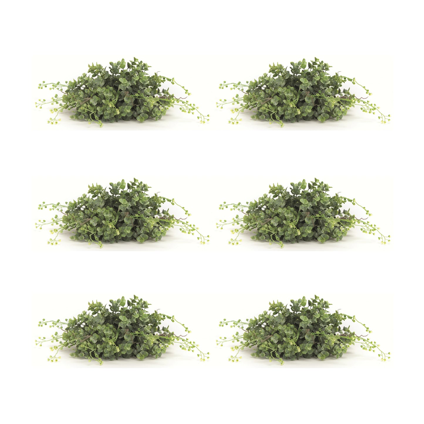 Spring Boxwood Foliage Half Orb (Set of 6)