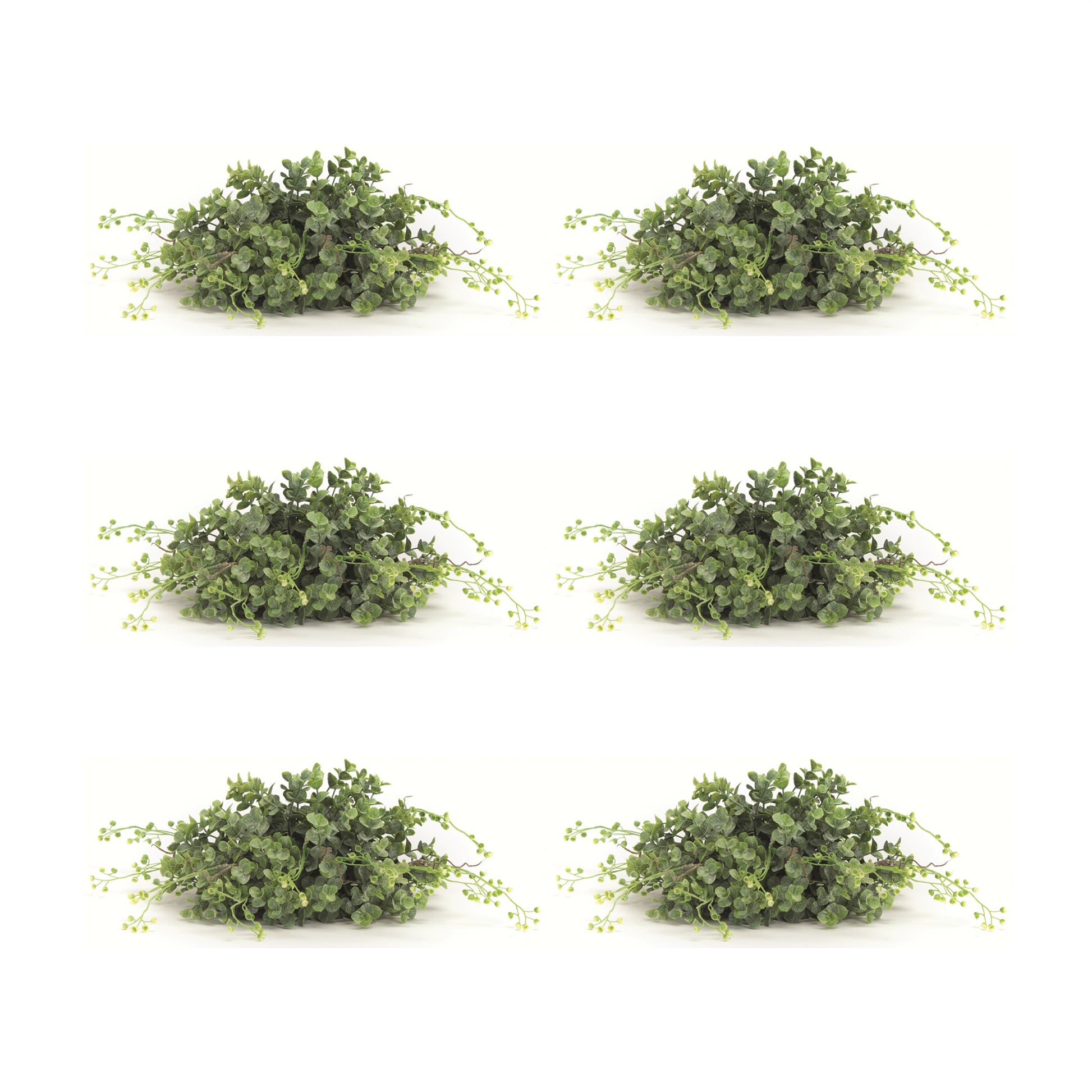 Spring Boxwood Foliage Half Orb (Set of 6)