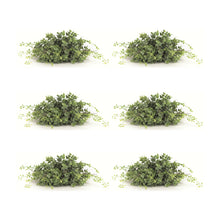 Spring Boxwood Foliage Half Orb (Set of 6)