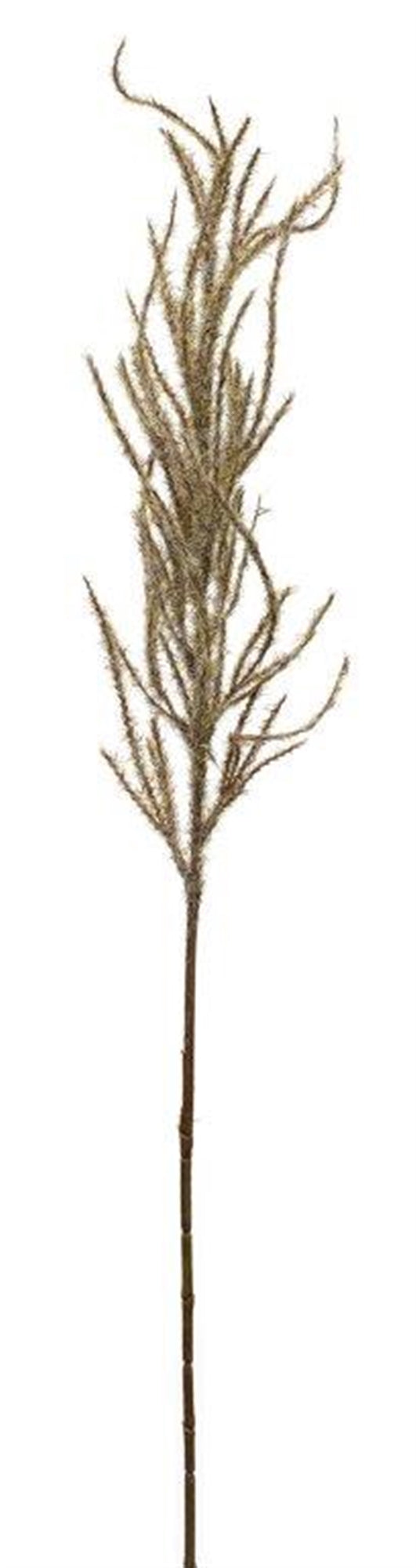 Flocked Beige Pampas Grass Spray (Set of 4) alternate view 2