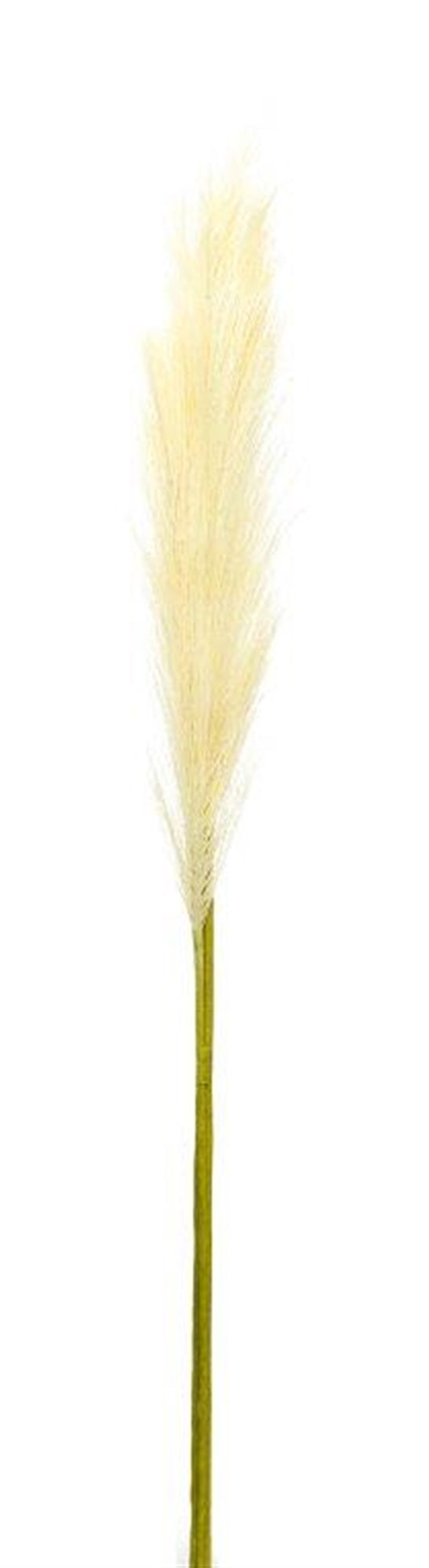 Cream Pampas Gass Stem (Set of 4) alternate view 2