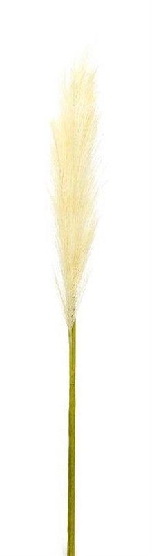 Cream Pampas Gass Stem (Set of 4) alternate view 2