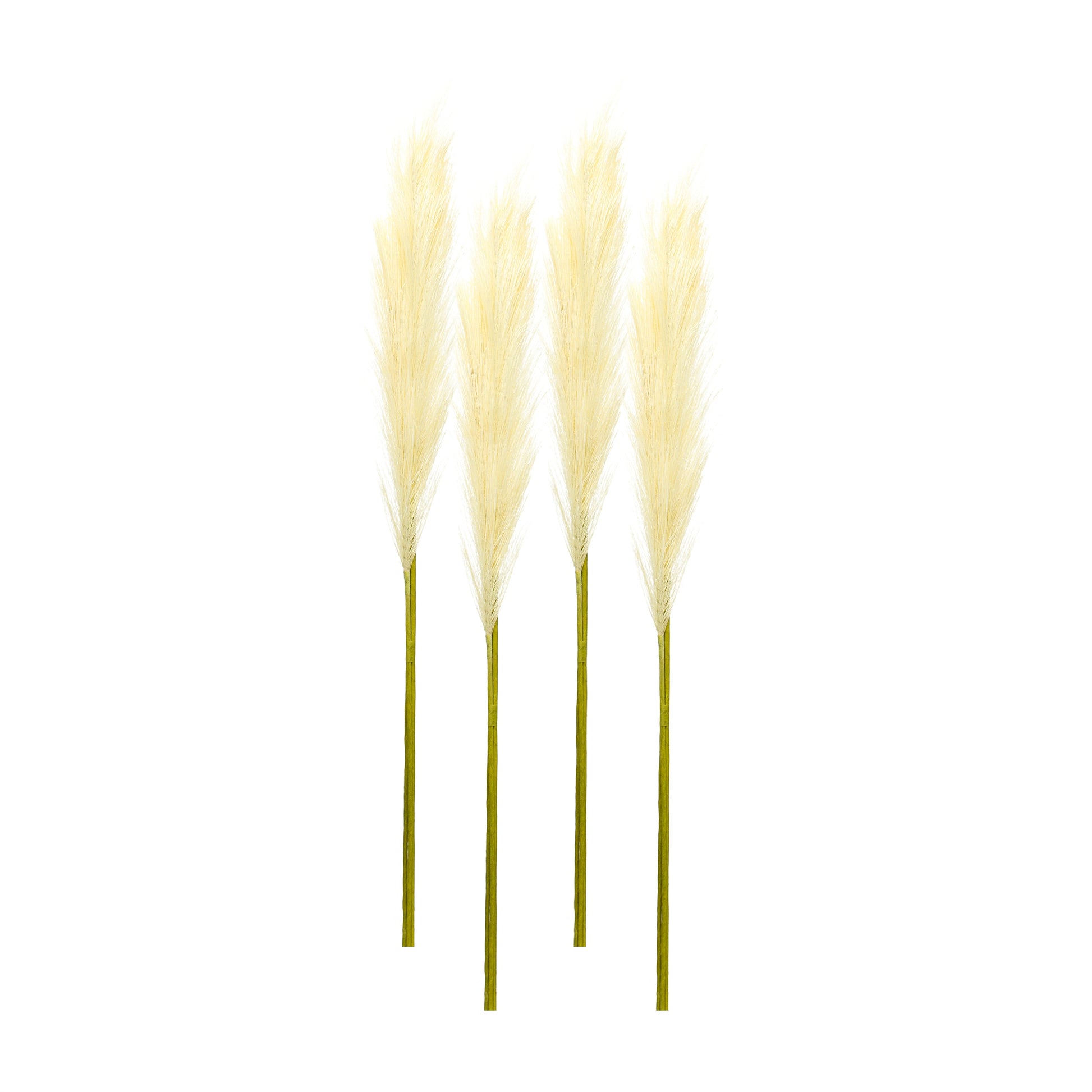 Cream Pampas Gass Stem (Set of 4)