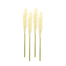 Cream Pampas Gass Stem (Set of 4)