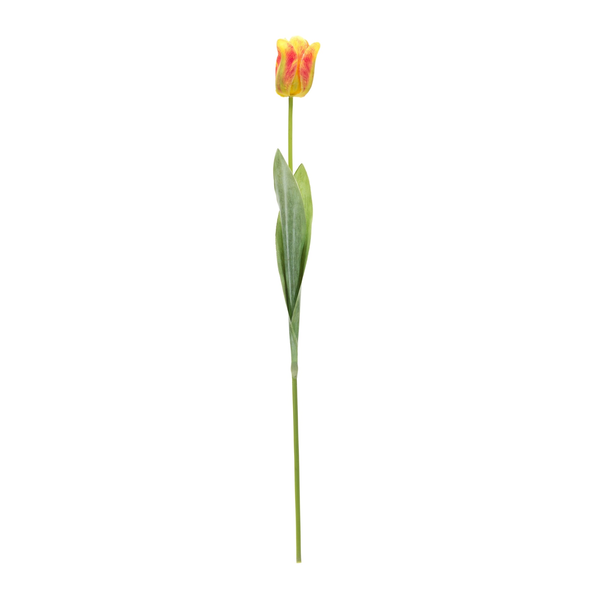 Tulip Floral Stem (Set of 6) alternate view 2