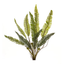 Varigated Fern Foliage Bush (Set of 6) alternate view 2