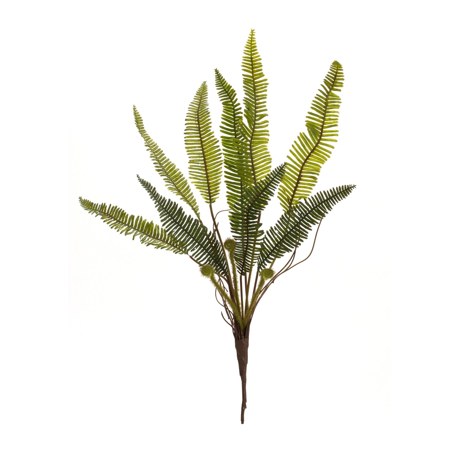 Varigated Fern Foliage Bush (Set of 6) alternate view 3