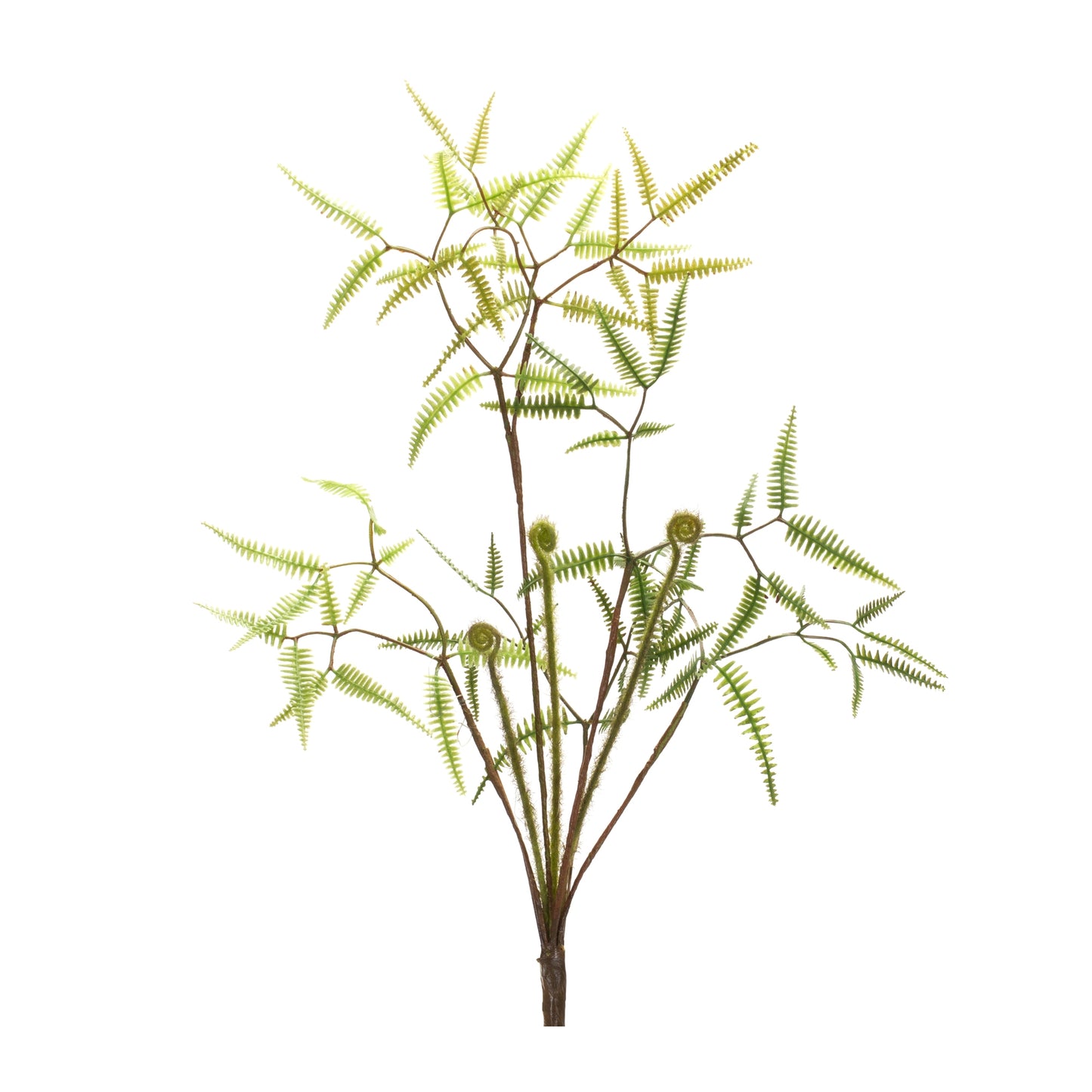 Mini Fern Foliage Bush with Sprout Accent (Set of 6) alternate view 2