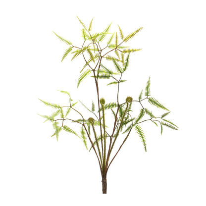 Mini Fern Foliage Bush with Sprout Accent (Set of 6) alternate view 2