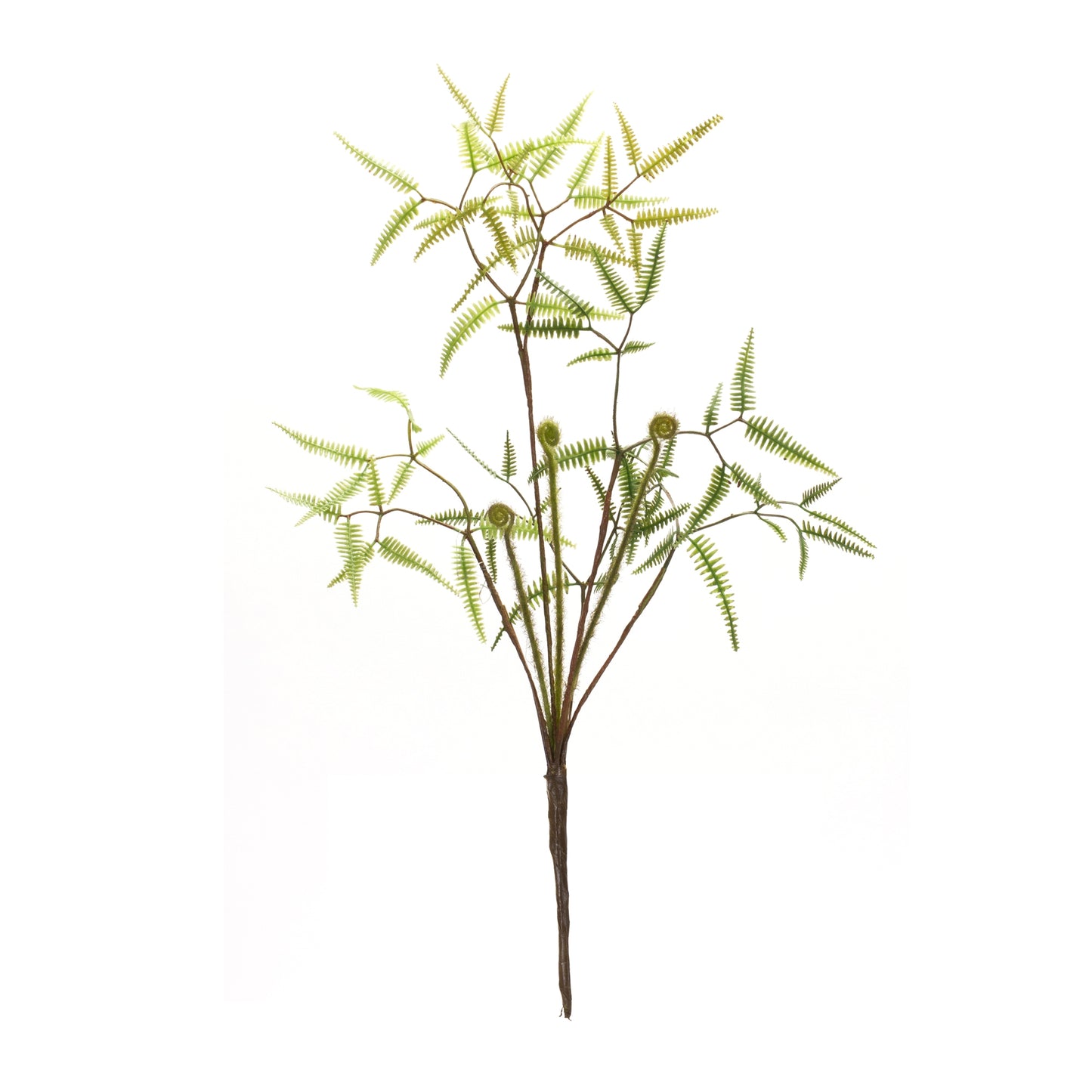 Mini Fern Foliage Bush with Sprout Accent (Set of 6) alternate view 3