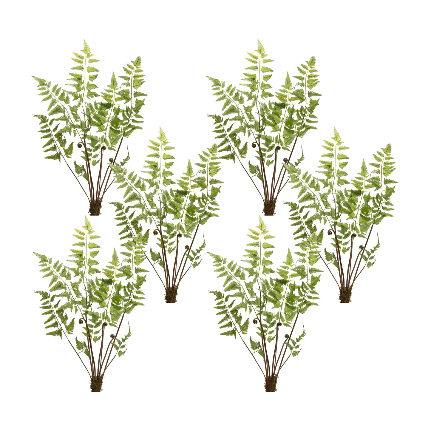Varigated Fern Bundle with Sprout Accents (Set of 6)