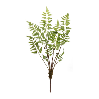 Varigated Fern Bundle with Sprout Accents (Set of 6) alternate view 3