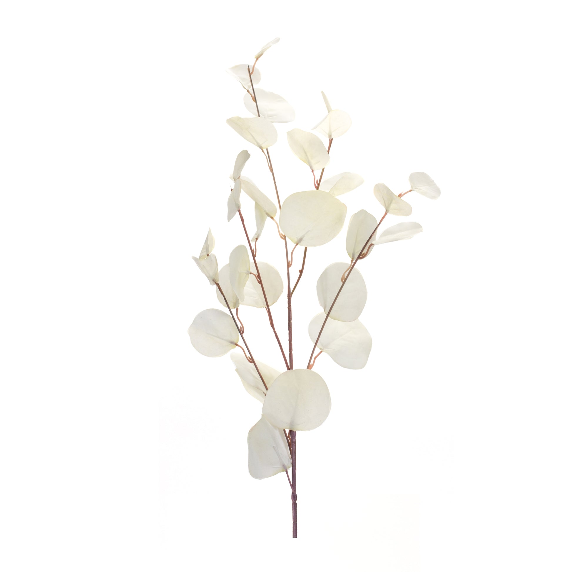 Ivory Silver Dollar Eucalyptus Leaf Spray (Set of 6) alternate view 3