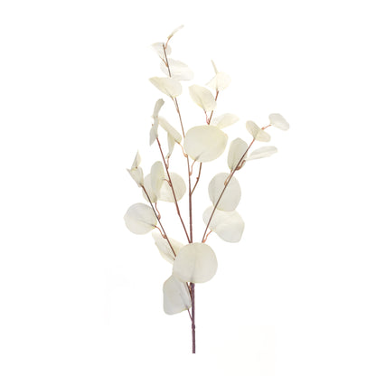 Ivory Silver Dollar Eucalyptus Leaf Spray (Set of 6) alternate view 3