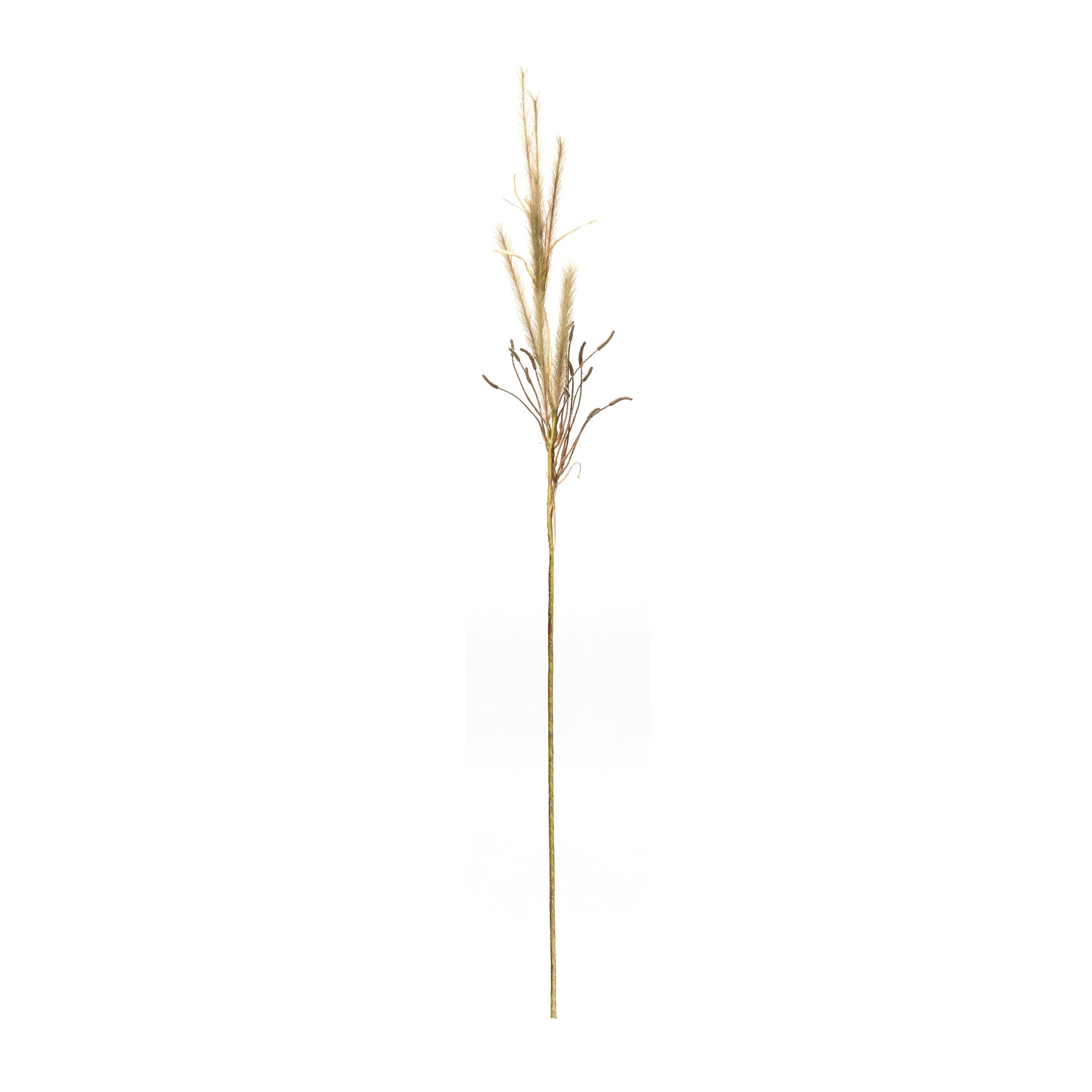 Foxtail Grass Spray (Set of 2) alternate view 2