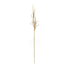 Foxtail Grass Spray (Set of 2) alternate view 2