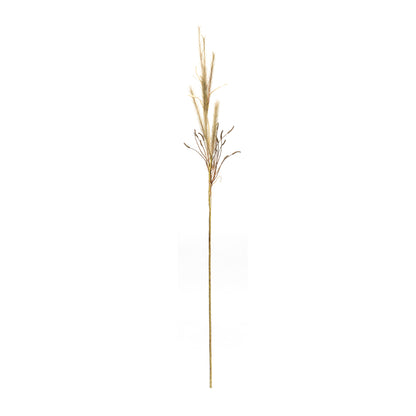 Foxtail Grass Spray (Set of 2) alternate view 2