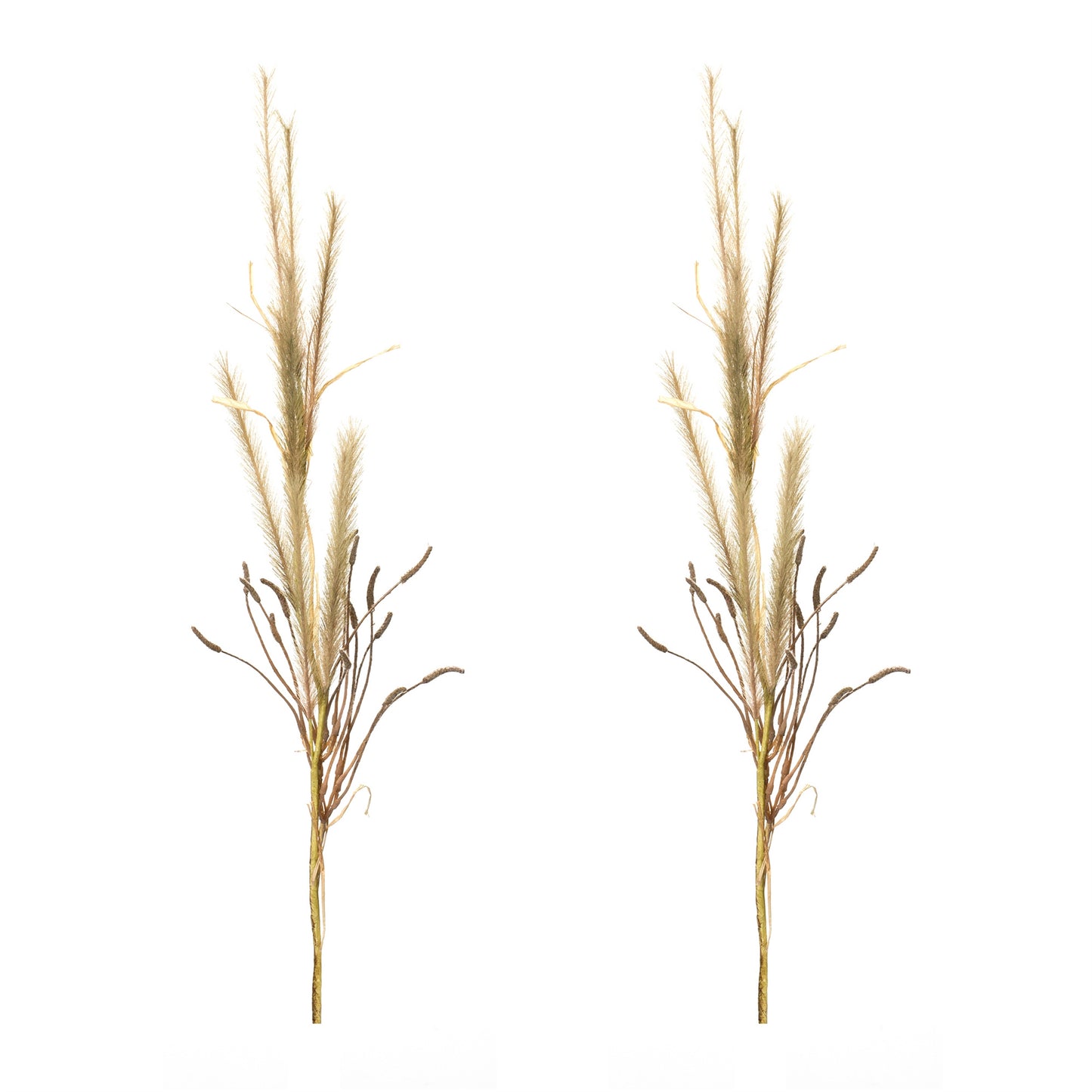 Foxtail Grass Spray (Set of 2) alternate view 3