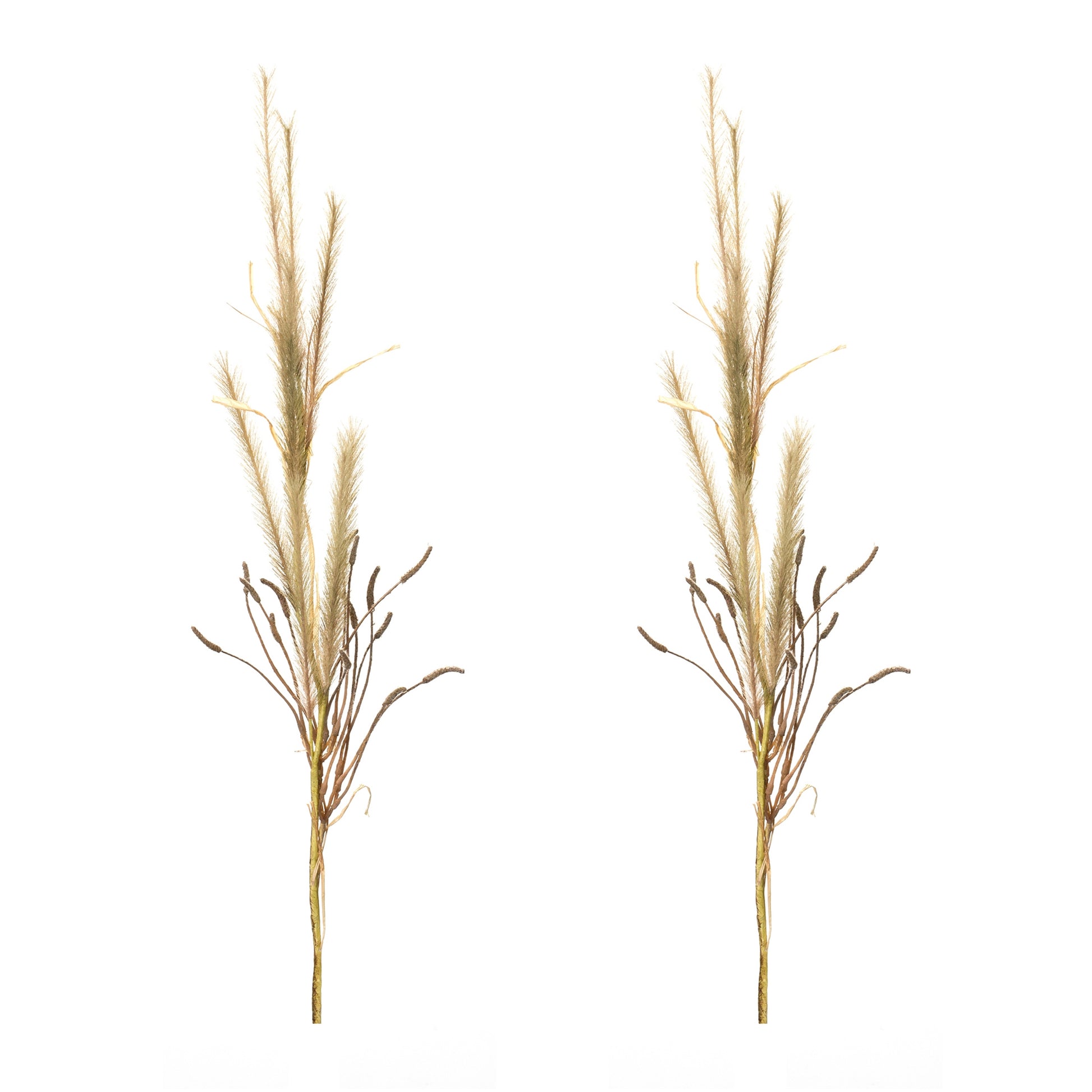 Foxtail Grass Spray (Set of 2) alternate view 3